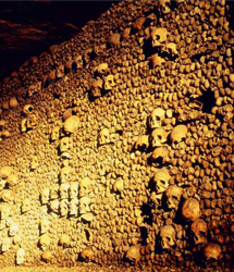 The Catacombs of Paris